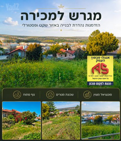 הכרמל 48