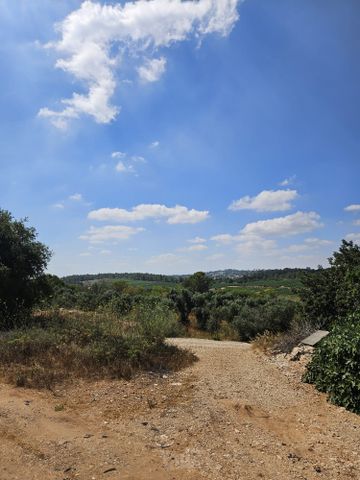משק חקלאי/ נחלה, בר גיורא, בר גיורא