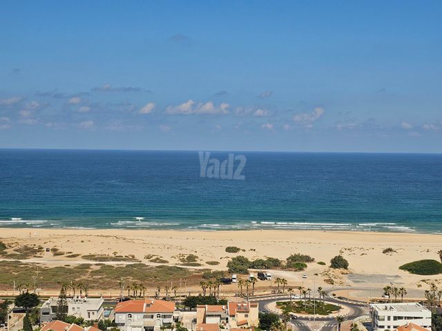 כינרת 33