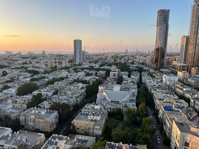 הדסה 6