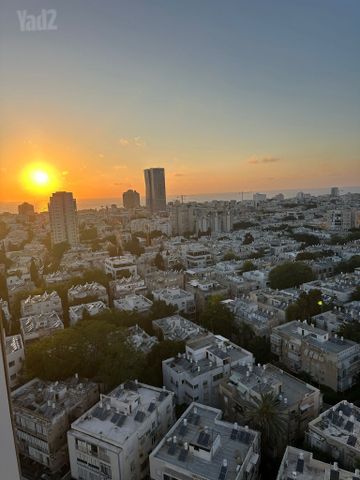 הדסה 6