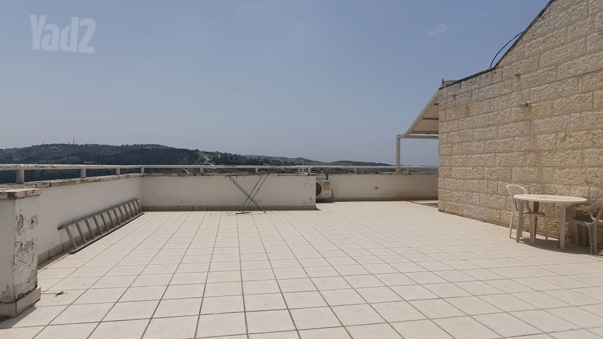 אריה דולצ'ין 