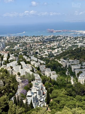 מנדל זינגר 