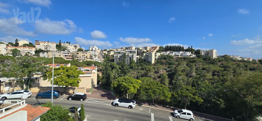 צבעוני 