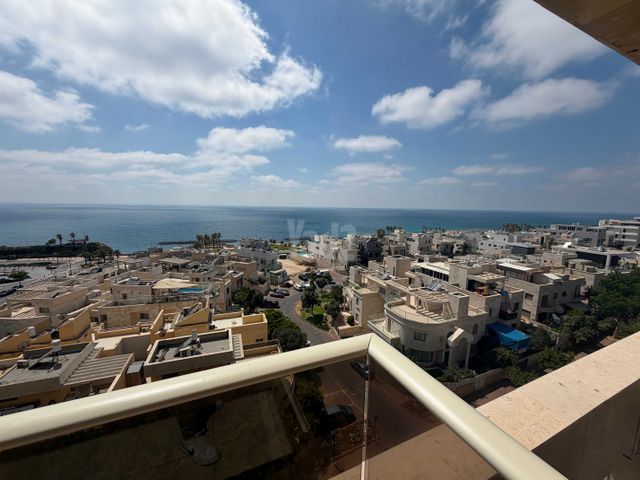 פייר קניג 37