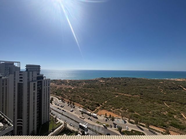 עוזי חיטמן 