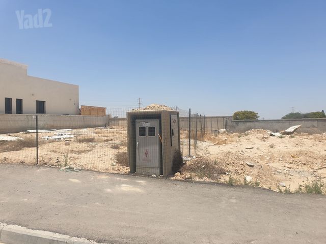 פולה בן גוריון 55