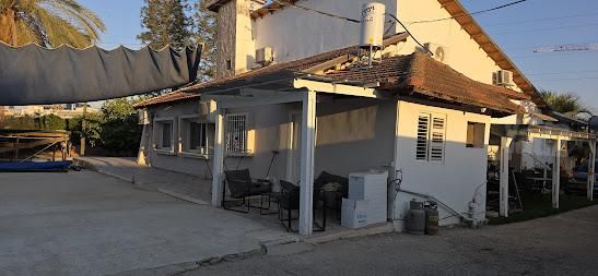 הזית 1