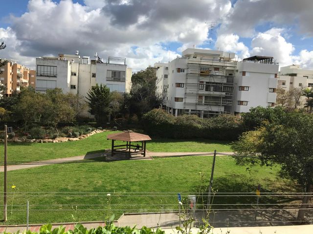 אשר ברש 31