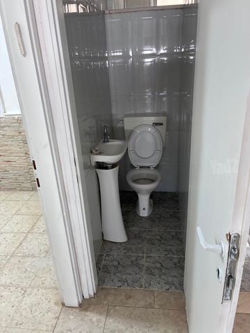 הזית 36