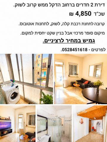 הדקל 5