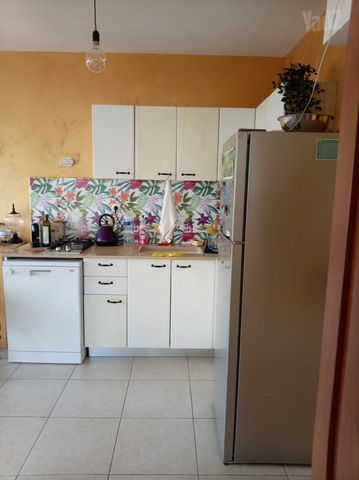 דירה להשכרה בתל אביב יפו — 2
