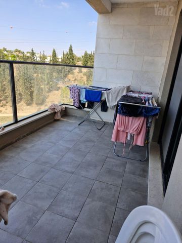 אחד העם 