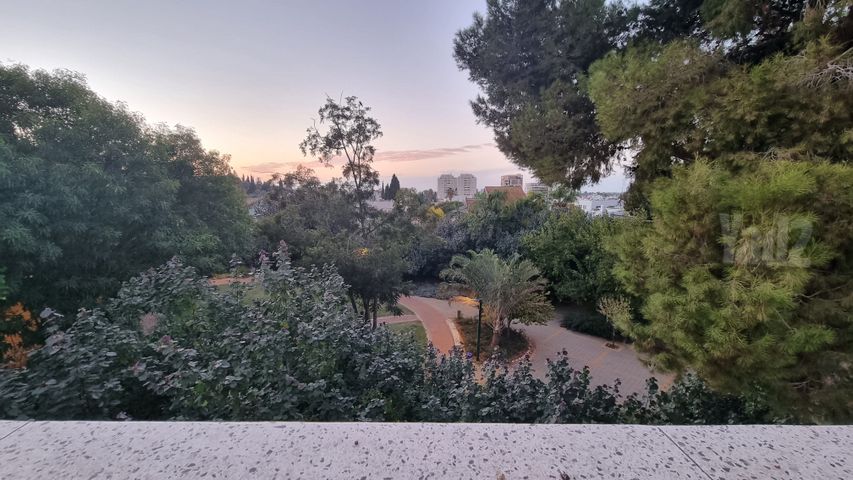 דבורה הנביאה 