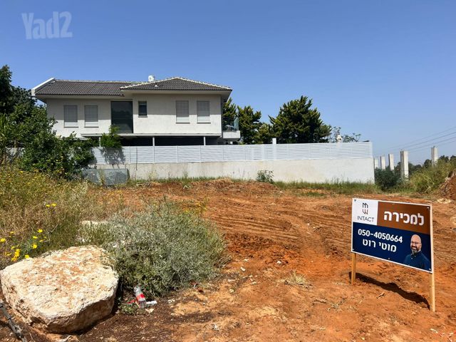 תל צור 