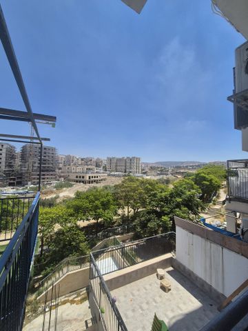 תכלת מרדכי 