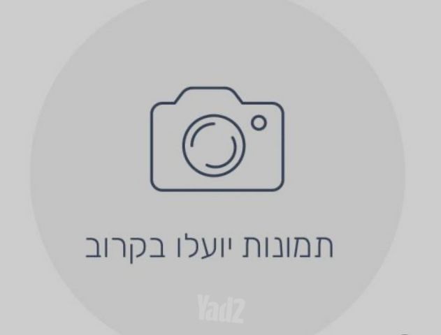 מחנה יהודה