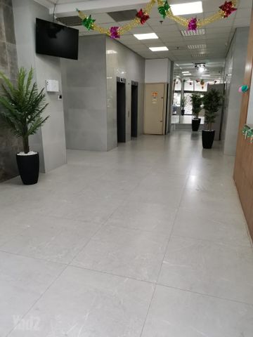 אליהו הנביא 
