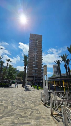 כיכר מאירהוף 8