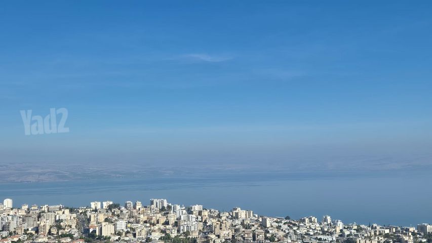הנרקיס 26