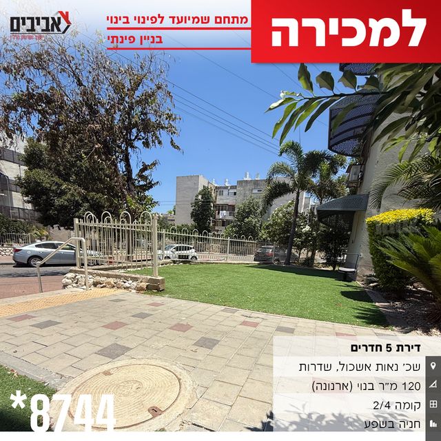 דירה