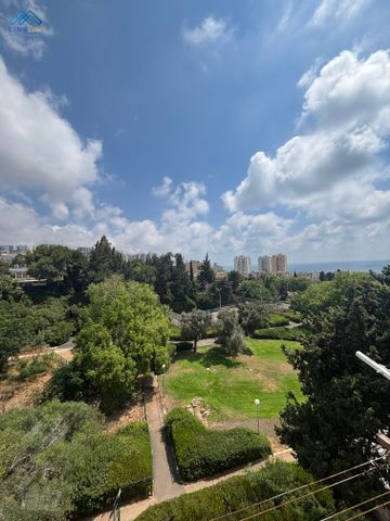 דוד בר רב האי 