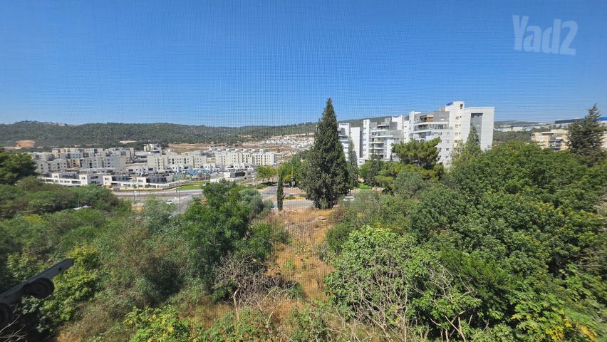 ניצנים 