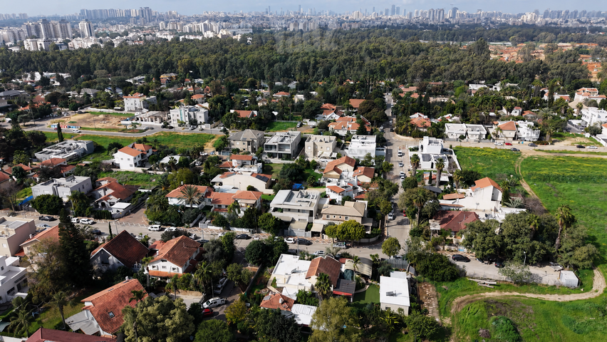 בלינסון
