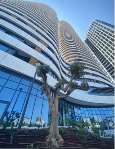 תמונה 9 של דירת 4 חדרים להשכרה בתל אביב יפו