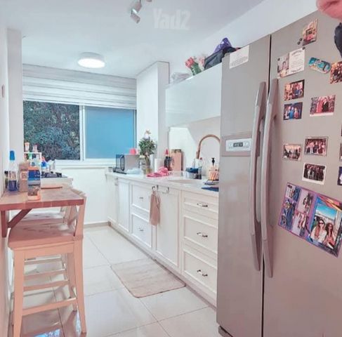 דרייפוס 55