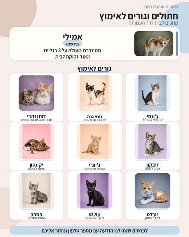 תמונת מודעה - חיות מחמד