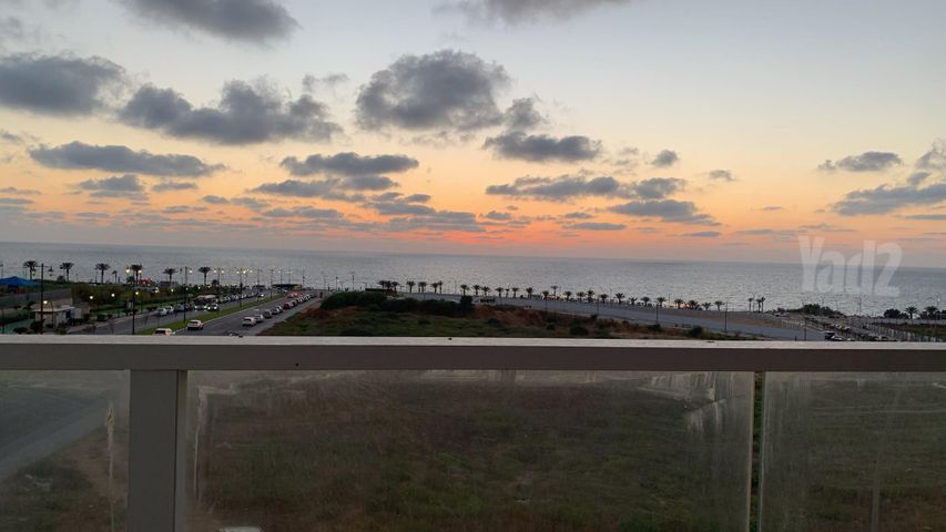 צדפים 1