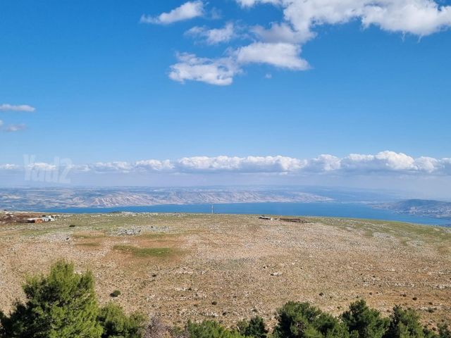 האחד עשר 363