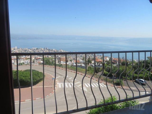 חלמונית 38