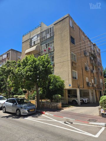 דוד וולפסון 26