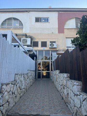 שושנת העמקים 8