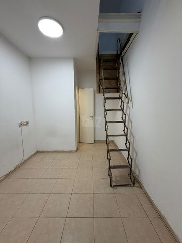 בר גיורא 40