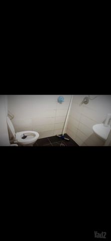 בית פרטי/ קוטג' להשכרה בתל אביב יפו — 2
