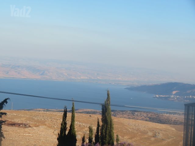מרדכי אנילביץ' 2