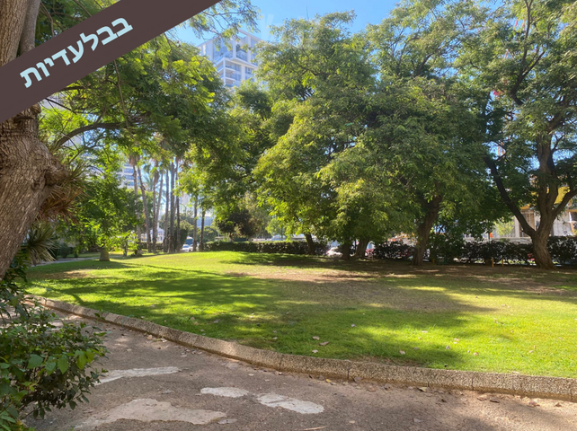רמת אביב ג'