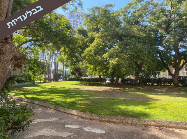 רמת אביב ג'