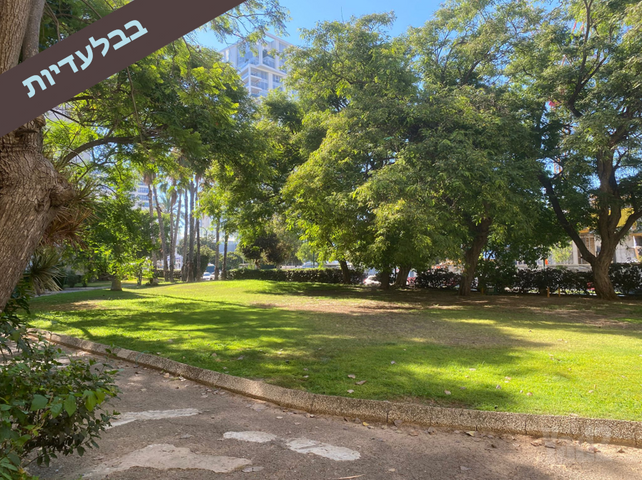 רמת אביב ג'
