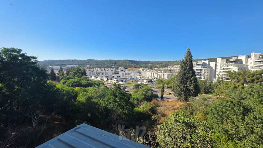 ניצנים 