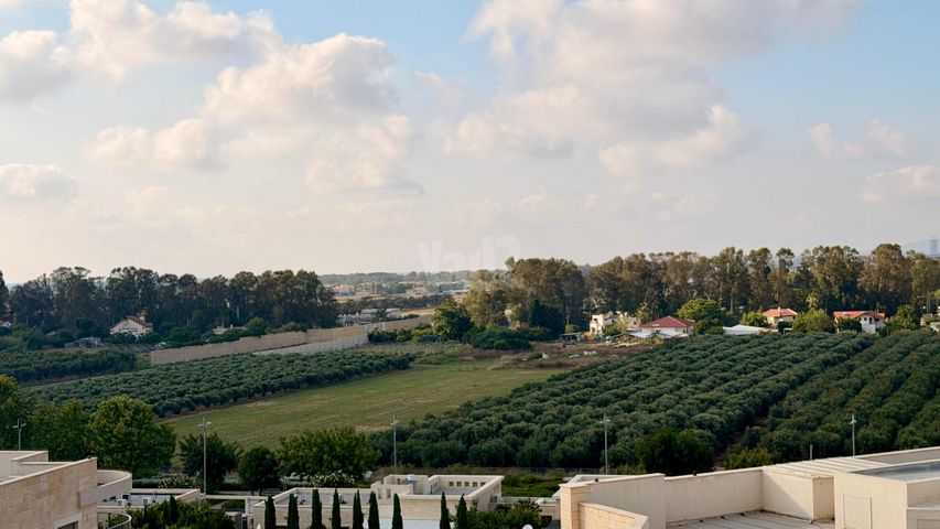 דירה