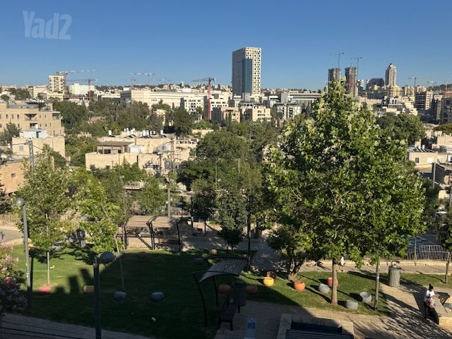 אנטיגונוס 