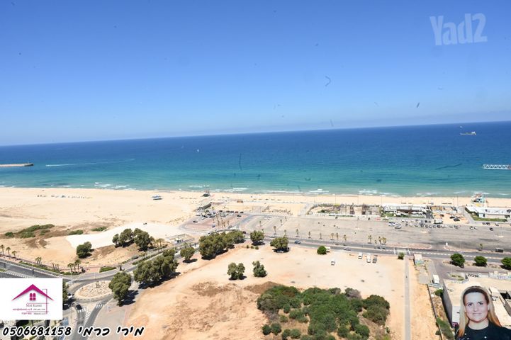 הדקל 