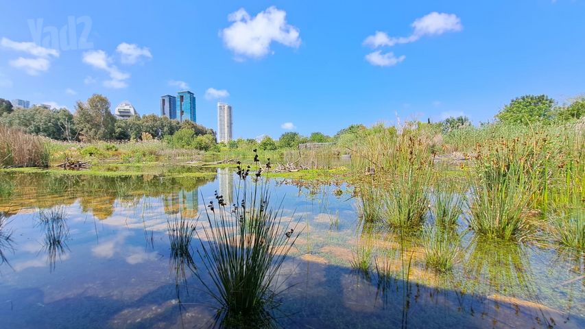 רחובות הנהר 