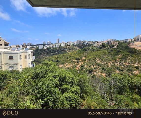 התמר 
