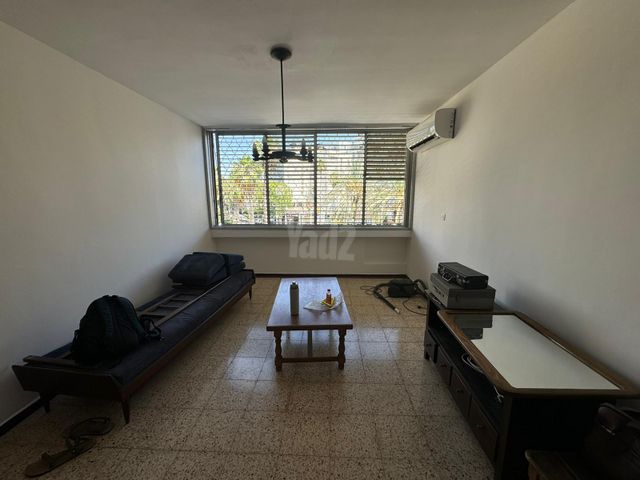 הבנים 12