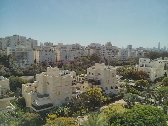 דולצ'ין 